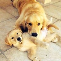 Fanfictionwritertvseries