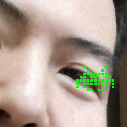 KRD㌧ちゃん（kuroda-fas）