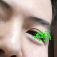 KRD㌧ちゃん（kuroda-fas）