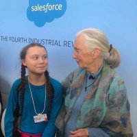 Sister Mickey of the Srs of Bernard