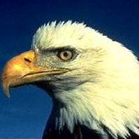 BrianDude🇺🇦🌊🇺🇦🌊