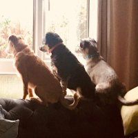 Cherries Fan in Spain 🍒