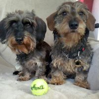 Oski💟🍰🇺🇦 〓〓 & Monty💟⚽🇺🇦〓〓