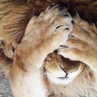 Obi1_K_NonSonoSoloQuesto🌈☮️🇯🇴🌻🍉