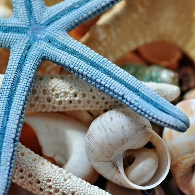 arelis888 🇵🇸 🌈🏳️‍🌈🏳️‍⚧️🦋