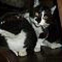 だいくさん❄🎀🌎🧠🐹🤌🌺🦐