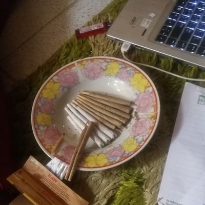 ฿ⱠØØĐɎ ₣łĐĐɎ