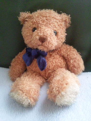 たか＠あるふぉんす