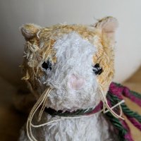 Mustard - Dark MAGA Cat 🇺🇸