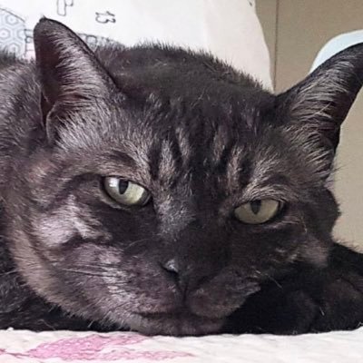 Giorgio GE. destra sempre