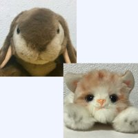こげちゃウサちゃんと野良猫