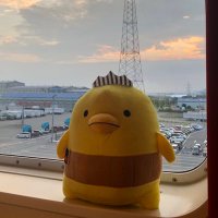 ごろごろバリーヌさん