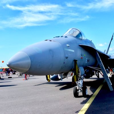 Vetus Flatus🏴‍☠️