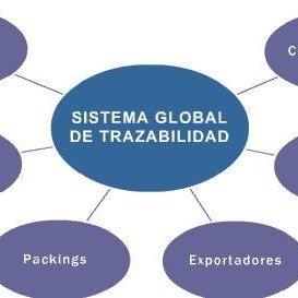 Trazabilidad
