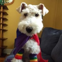 🐶🌈 Rumplepimple 🌈🐶