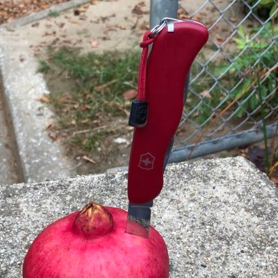 Cthylla(クティーラ)