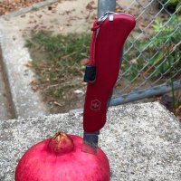 Cthylla(クティーラ)