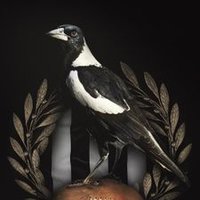 Maggie Coolgardie ▪️▫️🖤▫️▪️