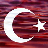 S.YILMAZ1453 🟢🇹🇷