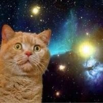 宇宙科学たん (宇宙論・天文学・天体物理学・地球惑星科学・宇宙物理学の学術たん)