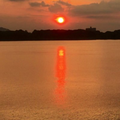 なお@旅人　naodai-toyotacity-my5