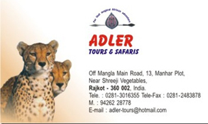 Adler Tours & Safari