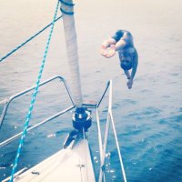 しまぱん本仕込