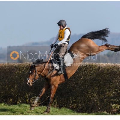 Maurice Linehan equestrian