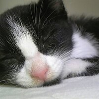 ミチナリ＠騎空士