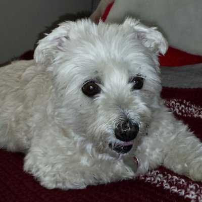 Beata Izabella🇨🇦🇵🇱