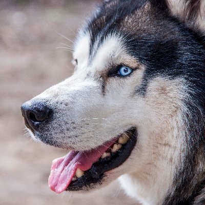 Nairebis - e/max-acc