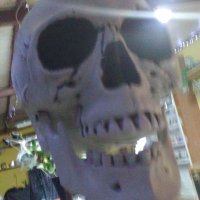 🕷ThatOneSkeleton🎃