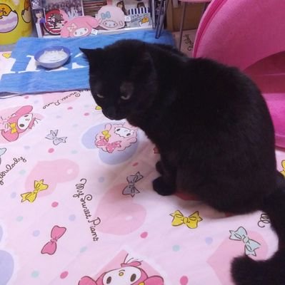 ๐ฑใใใใ็ซใใฏใญใใใกใณใจใใใพใฏใญใ ใใฒใใใใใจใ๐พ