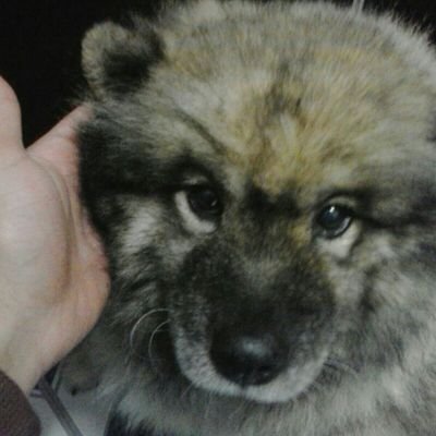 La Monja de DVT,💛💛💛💛💛💛💛