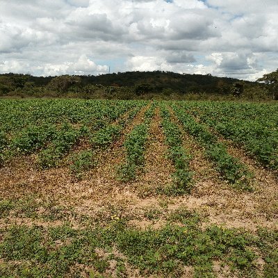 Ruben Dario Silverio