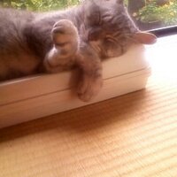 ポ ン ゴ ロ ー ＠両手を水平に伸ばしてぐるり