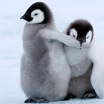 @ReneRebe@Chaos.Social 📯