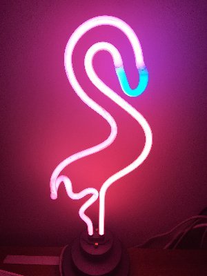 ThePinkNeonFlamingo