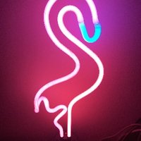 ThePinkNeonFlamingo