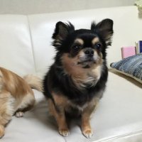 やまぽん。🎀🌨️