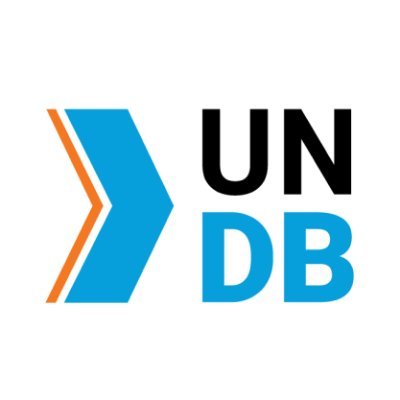 UN Development Business