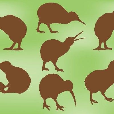 KIWIinNZ🇳🇿／村上雅章