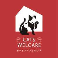 NPO法人CATS WELCARE【猫カフェ/大阪/京セラドーム近く/阿倍野】🐈‍⬛🐾