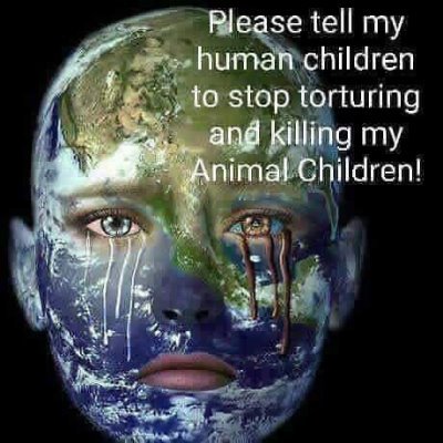 Mary Zientek Sulaiman