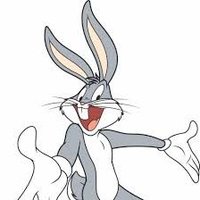 Z. de Haas 🇳🇱🇦🇺🇩🇪🇨🇭