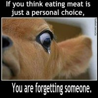 @AgainstAnimalCruelty