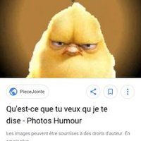 Anciennement Twitteur