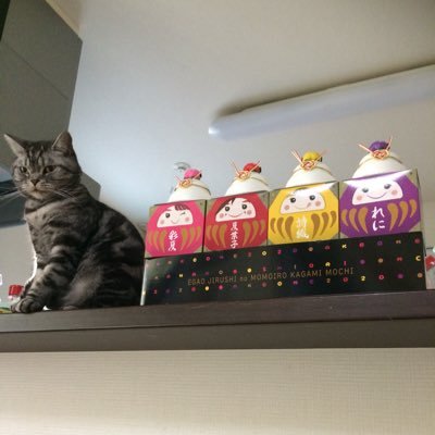 にゃーちゃん👸🏼🎀💙☆