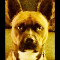 MommaK, Duchess of Bois d'Arc Y'all