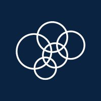 American Brain Foundation